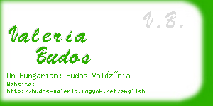 valeria budos business card